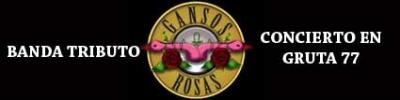 RADIO GUNNERS EN CONCIERTO GANSOS ROSAS